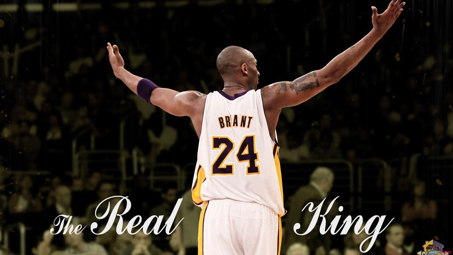 草原骑马表演赛，传统文化与运动融为一体，草原骑马比赛